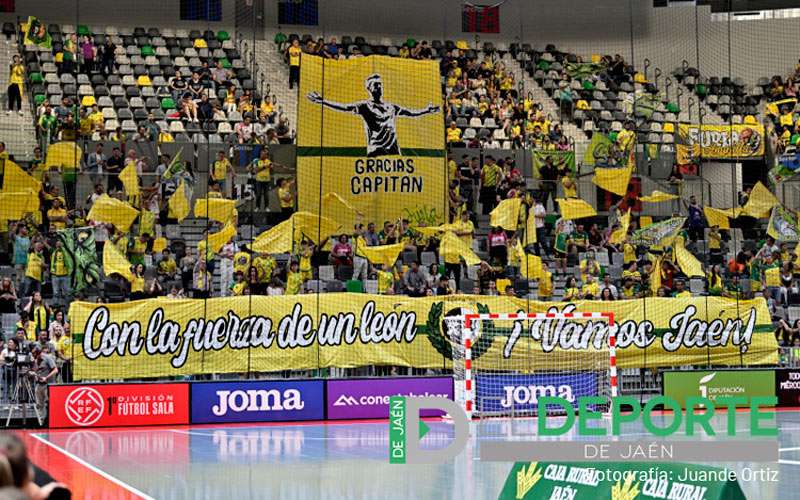 La afición en el Olivo Arena (Jaén FS – Palma Futsal)