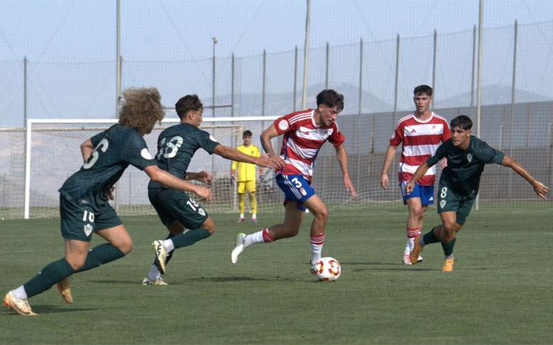 Análisis del rival (Linares Deportivo): Recreativo Granada