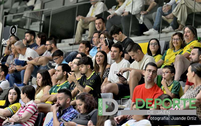 La afición en el Olivo Arena (segunda jornada Trofeo del Olivo)