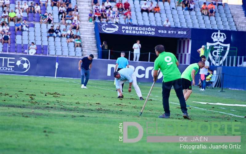 El Real Jaén sustituirá el césped de La Victoria