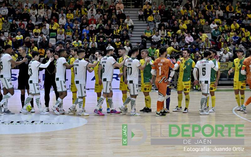 El duelo entre Córdoba y Jaén FS de Copa del Rey, en directo en rfef.es