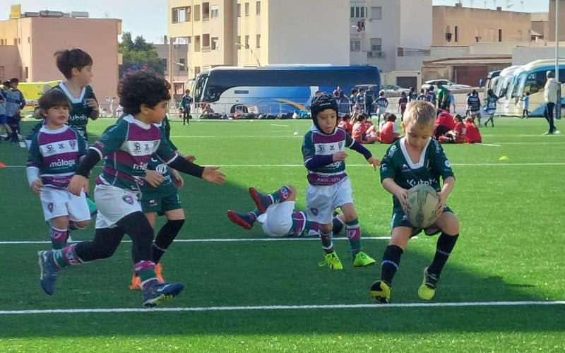 Los pequeños talentos del rugby andaluz se citan en Jaén